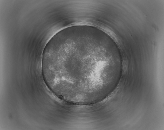 X0000111481228200908111154