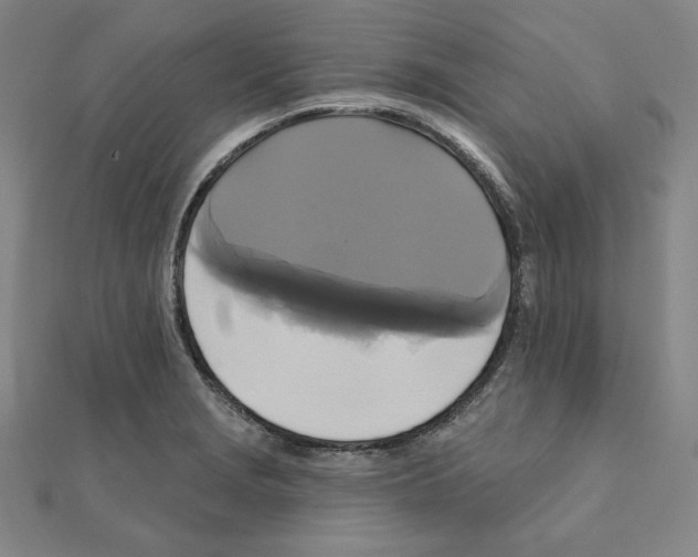 X0000111481229200908111154