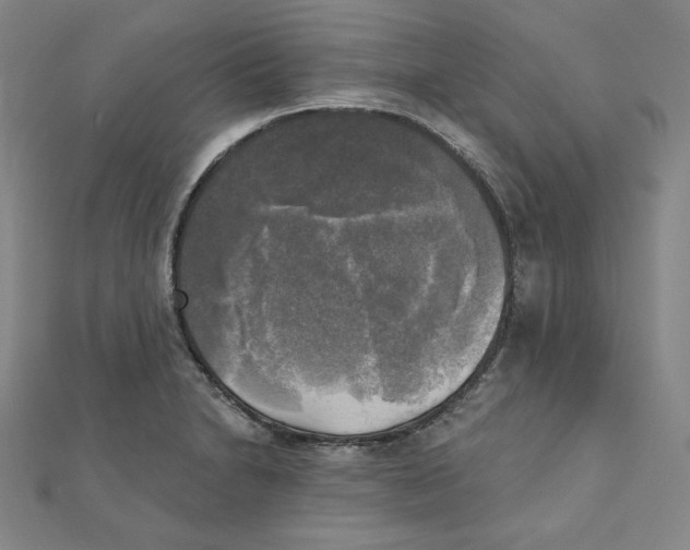 X0000111481230200908111154