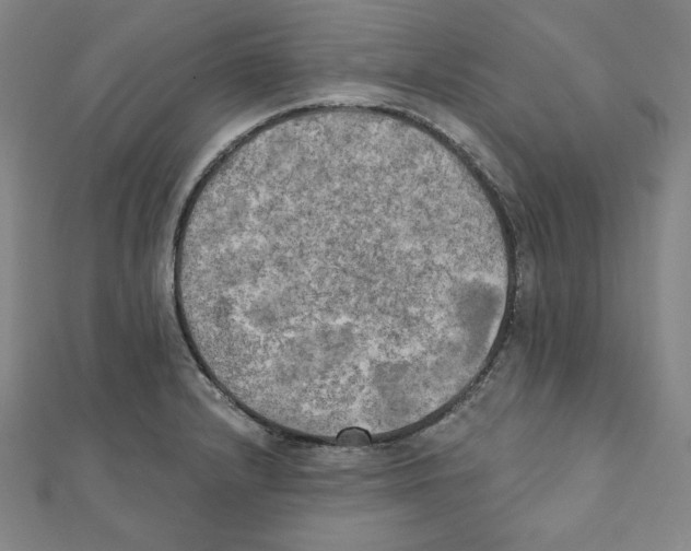 X0000111481232200908111154