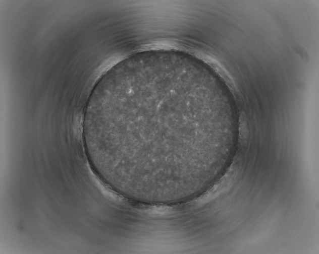 X0000111481233200908111154