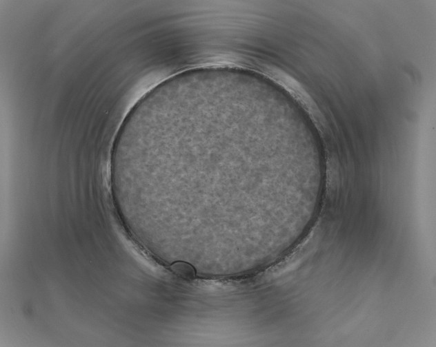 X0000111481234200908111154
