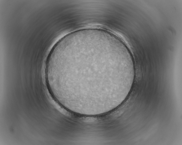 X0000111481235200908111154