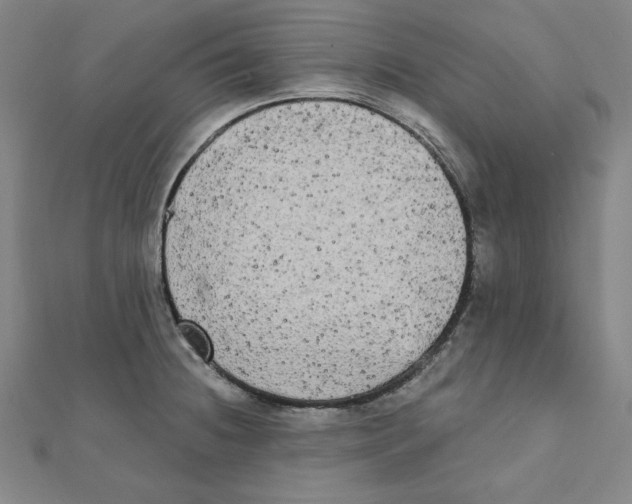 X0000111481236200908111154