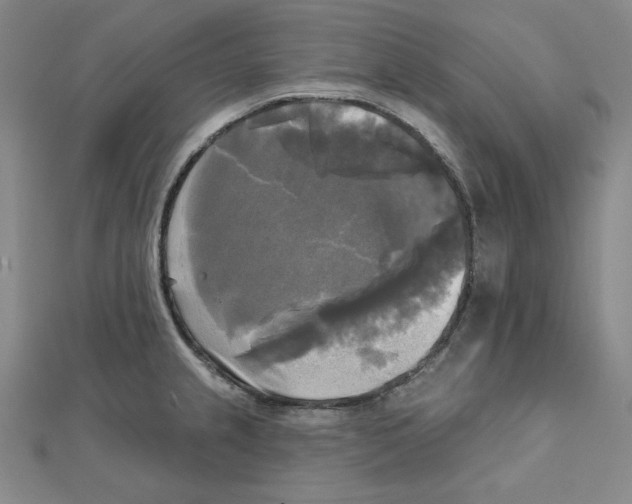 X0000111481237200908111154