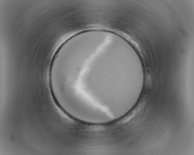 X0000111481239200908111154
