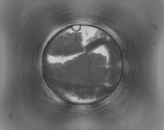 X0000111481240200908111154