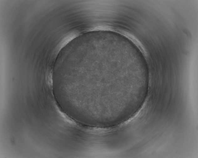 X0000111481241200908111154
