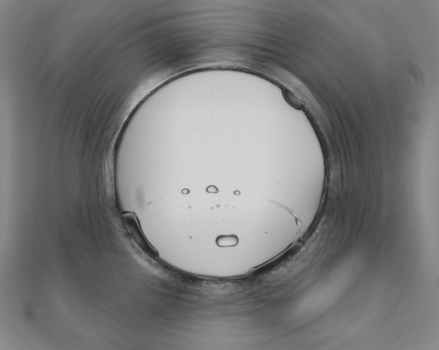 X0000111481242200908111154