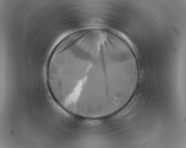X0000111481243200908111154