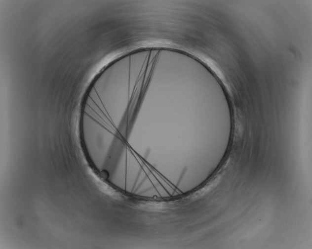 X0000111481245200908111154