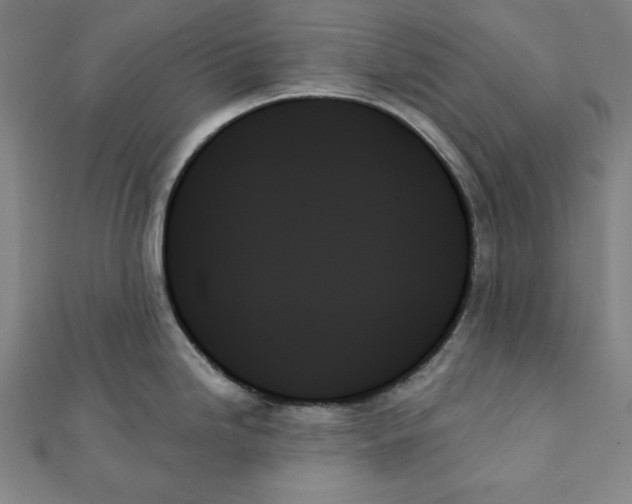X0000111481246200908111154