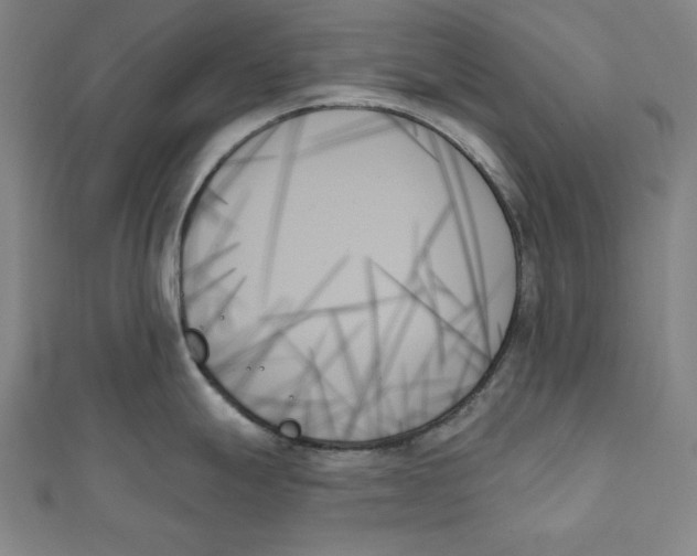 X0000111481247200908111154