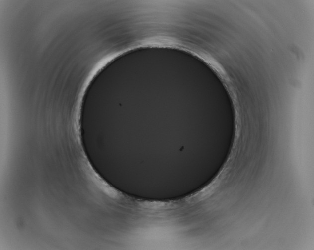 X0000111481248200908111154
