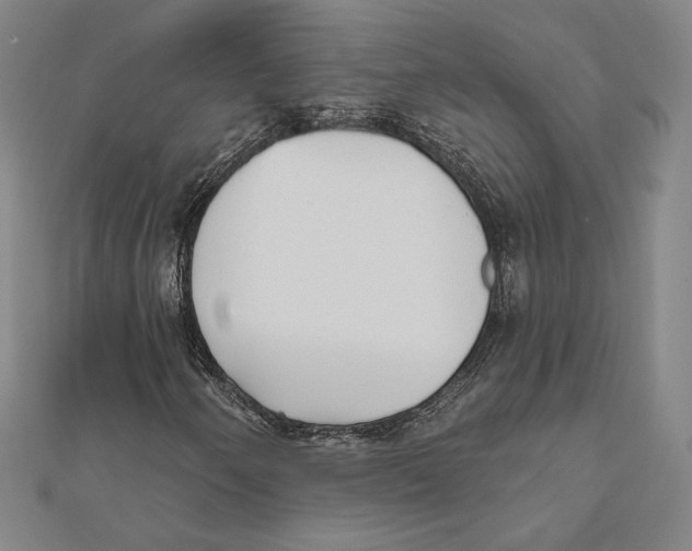 X0000111481250200908111153