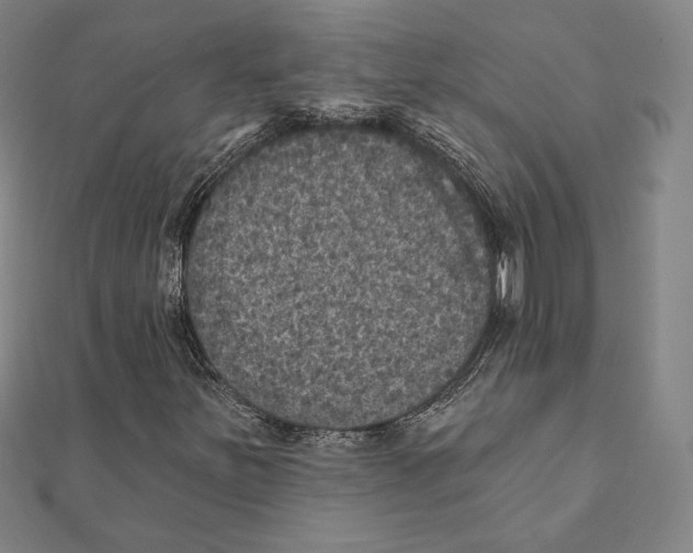 X0000111481251200908111153