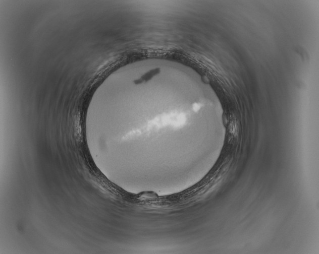 X0000111481252200908111153