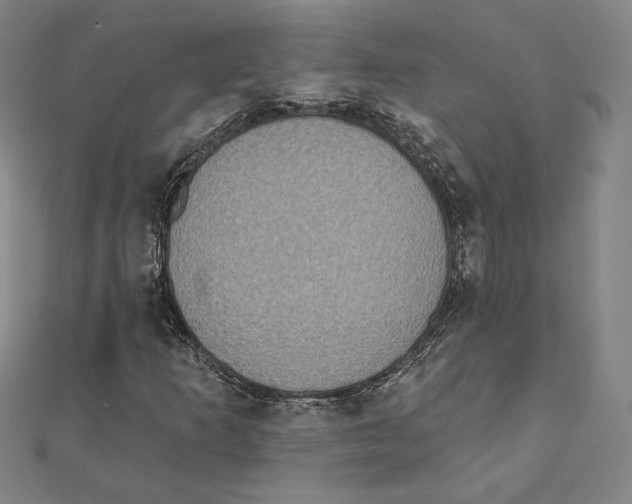 X0000111481253200908111153