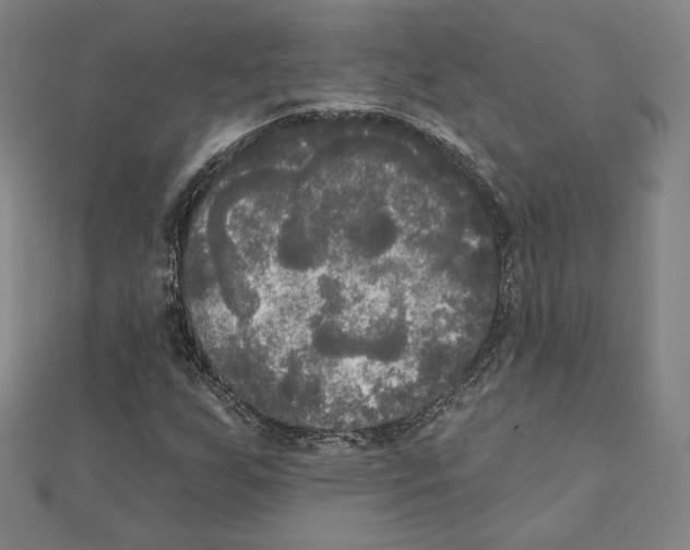 X0000111481255200908111153
