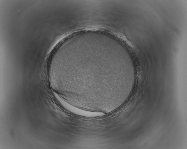 X0000111481256200908111153