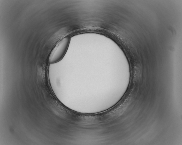 X0000111481257200908111153
