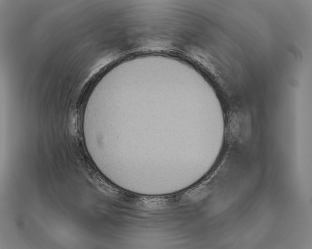 X0000111481258200908111153