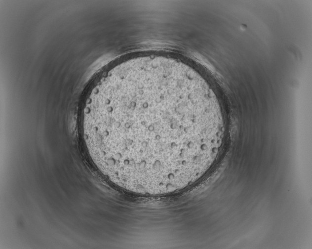 X0000111481259200908111153