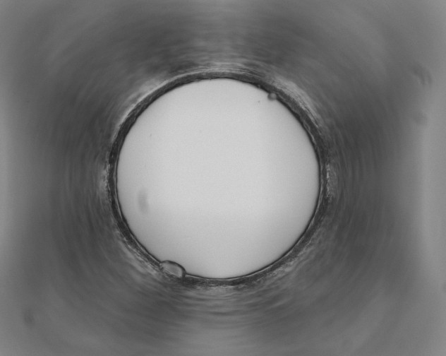 X0000111481260200908111153