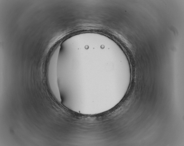X0000111481261200908111153