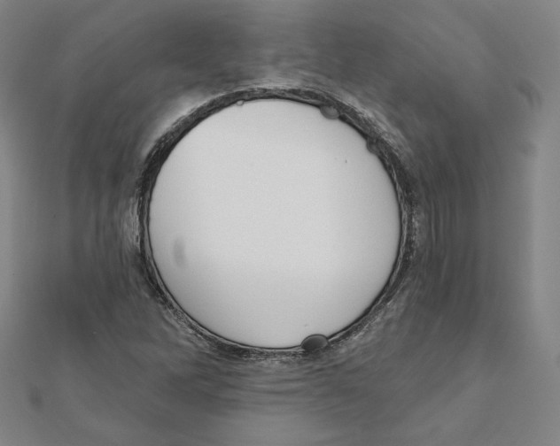 X0000111481262200908111153