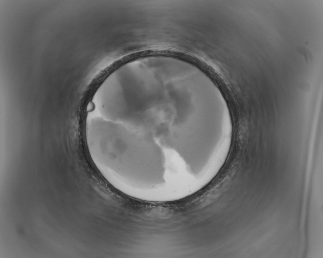 X0000111481263200908111153