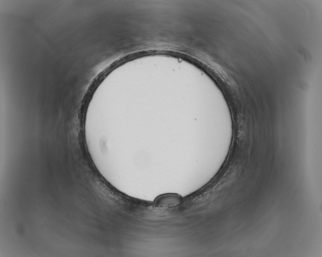 X0000111481264200908111153