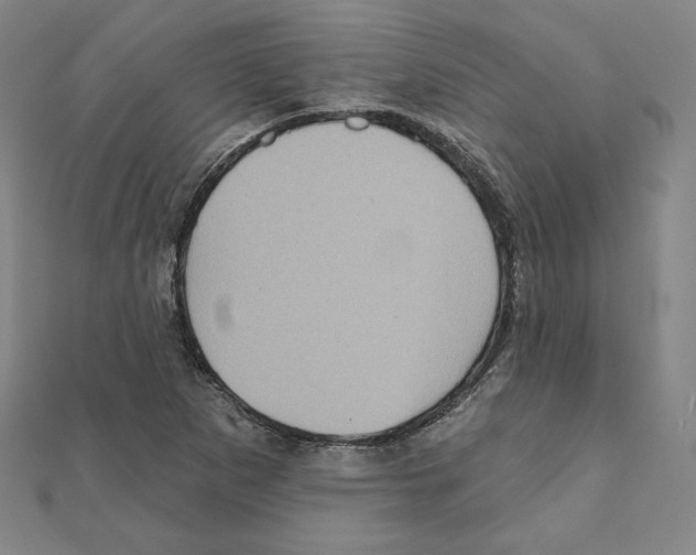 X0000111481265200908111153