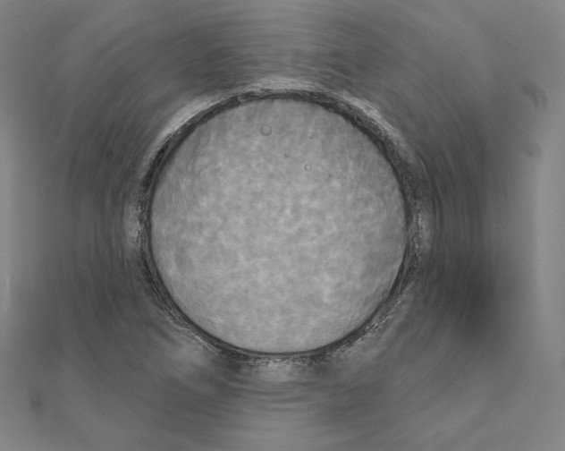 X0000111481266200908111153