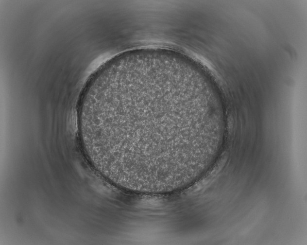 X0000111481267200908111153