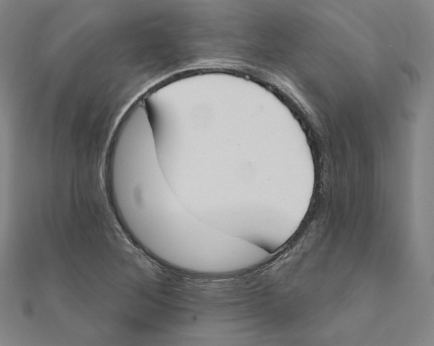 X0000111481268200908111153