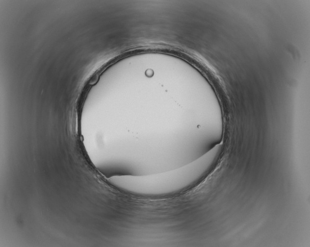 X0000111481269200908111153