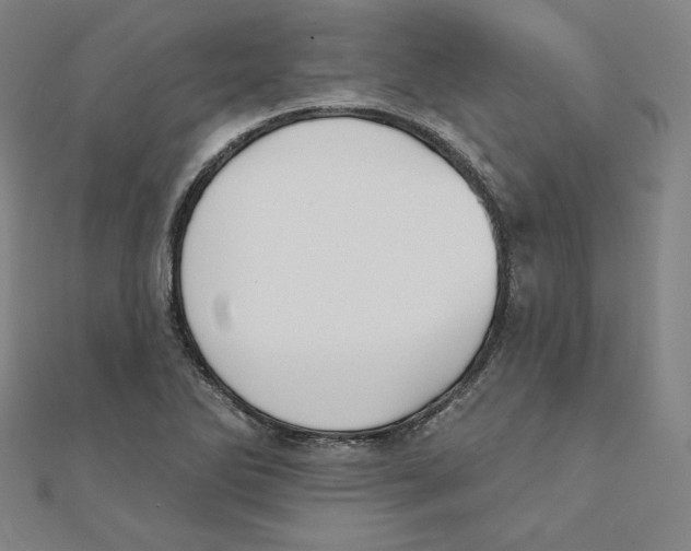 X0000111481270200908111153
