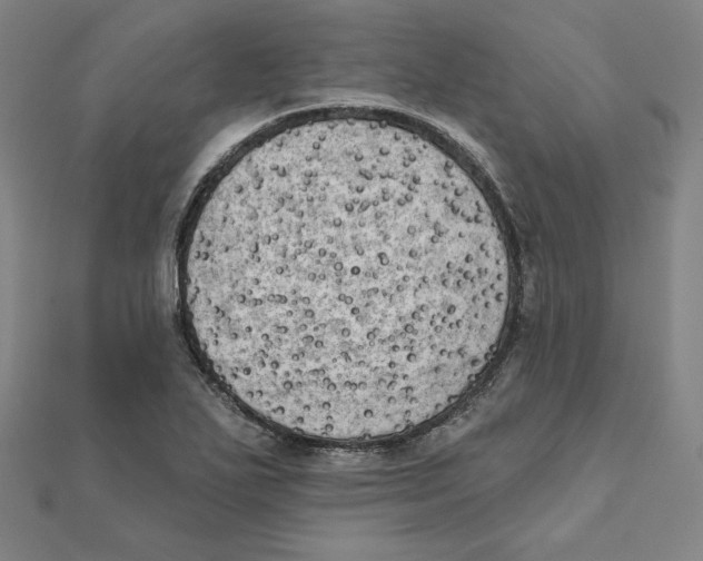 X0000111481271200908111153