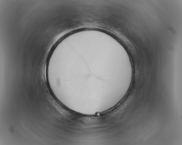 X0000111481272200908111153