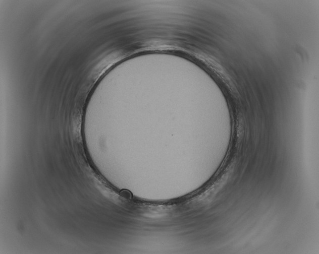X0000111481273200908111153