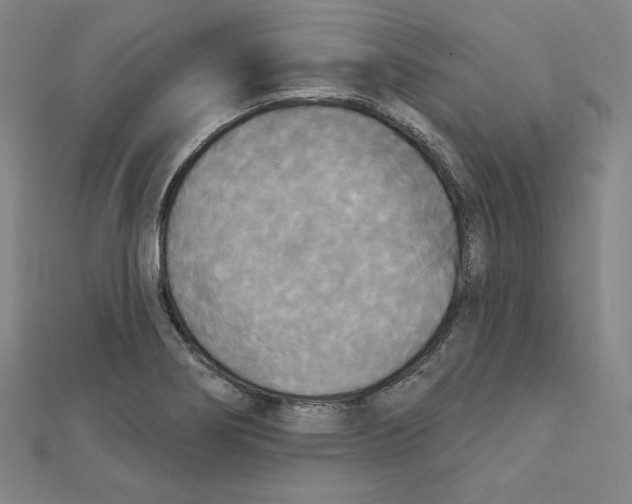 X0000111481274200908111153