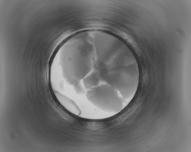 X0000111481275200908111153