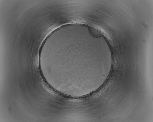 X0000111481276200908111153