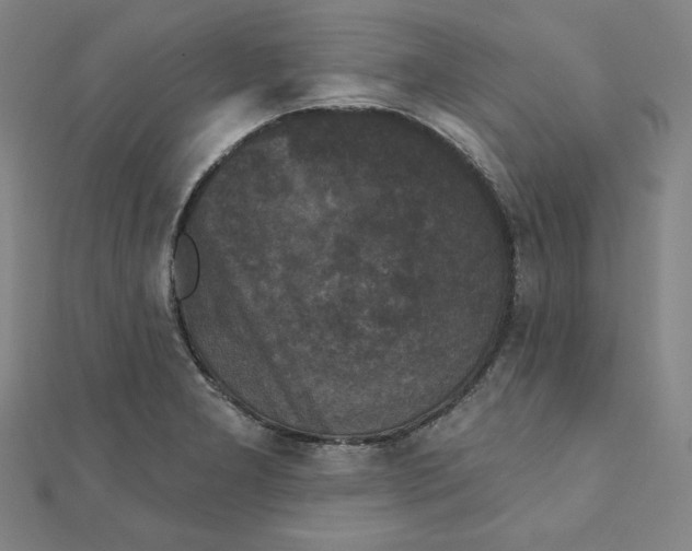 X0000111481277200908111153