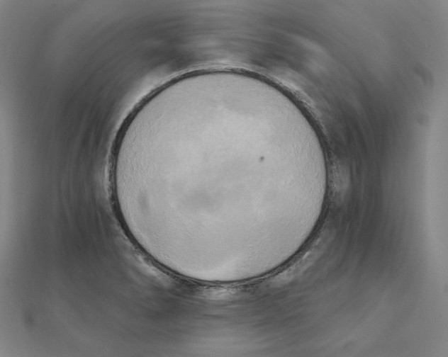 X0000111481278200908111153