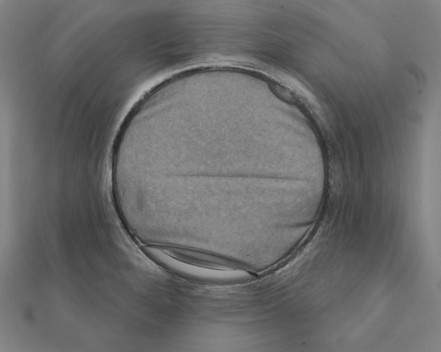 X0000111481280200908111153