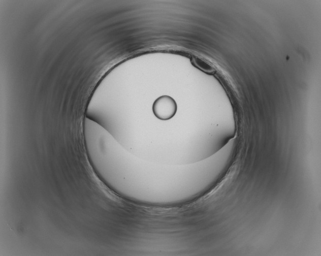 X0000111481281200908111153