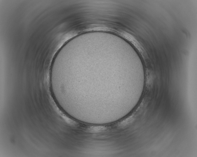 X0000111481282200908111153