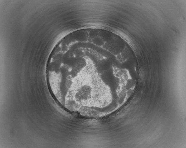 X0000111481283200908111153